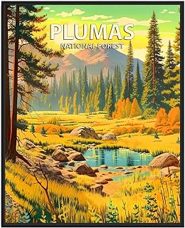 Plumas National Forest Poster Art Print, Retro National Park Prints, Plumas National Forest Wall Décor, Plumas National Forest Photo,242