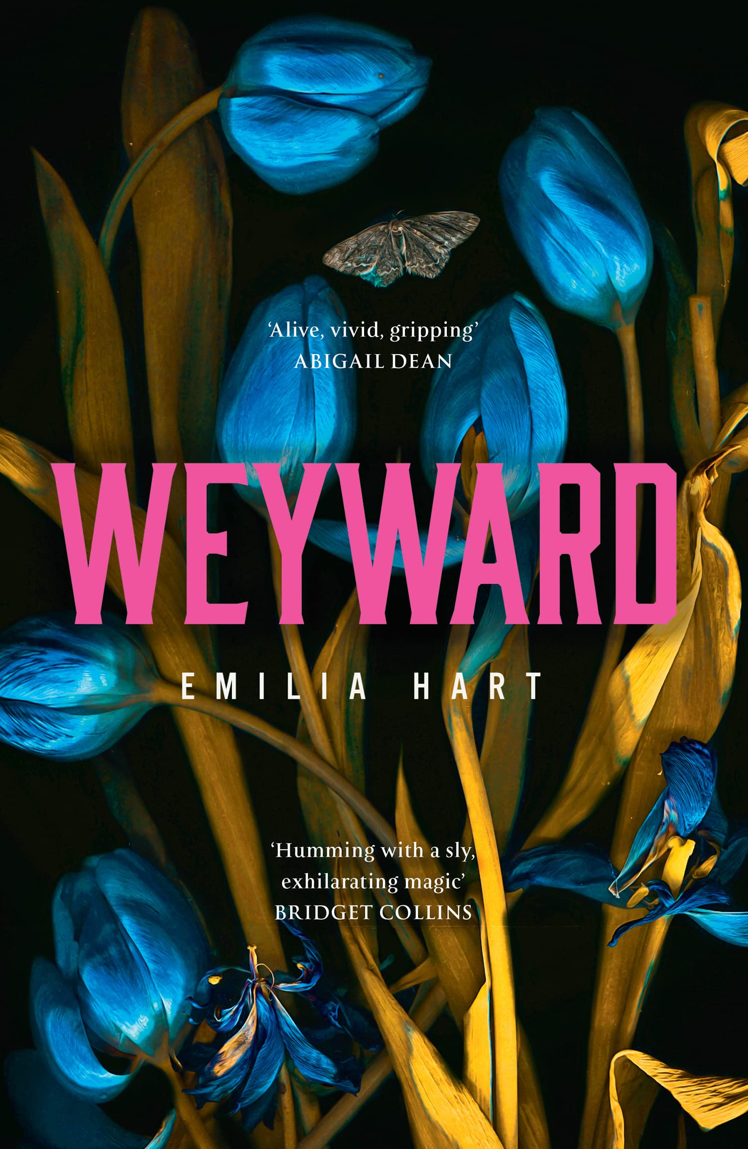 Weyward Paperback – 25 February 2023