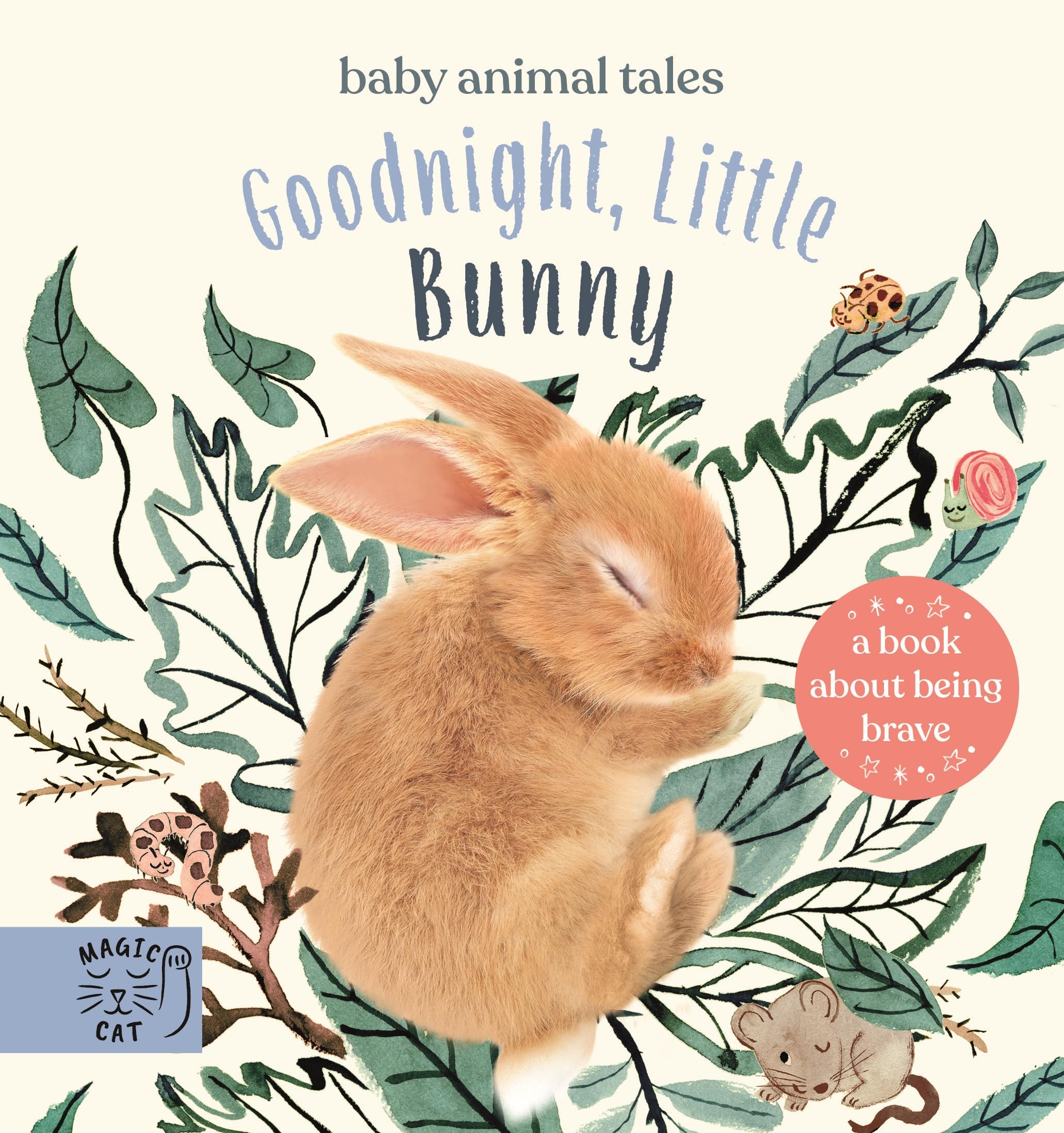 Goodnight, Little Bunny: A book about being brave (Baby Animal Tales)