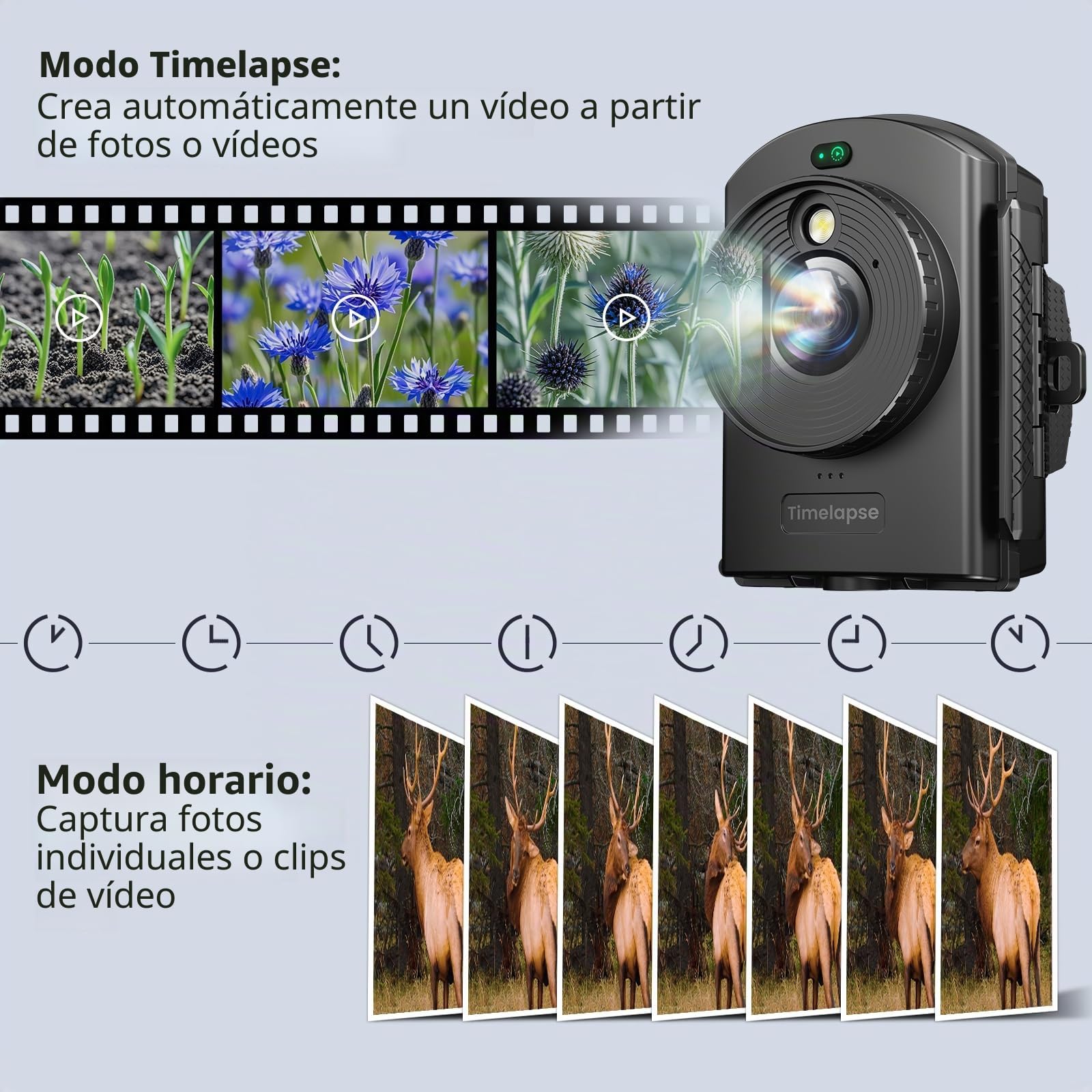 Cámara de Lapso de Tiempo con Posicionamiento Infrarrojo y Luz LED, 180 Días de Grabación, Videos y Fotos 1080P AVI para Construcción Exterior, Crecimiento de Plantas, Paisaje (Tarjeta TF 64GB)