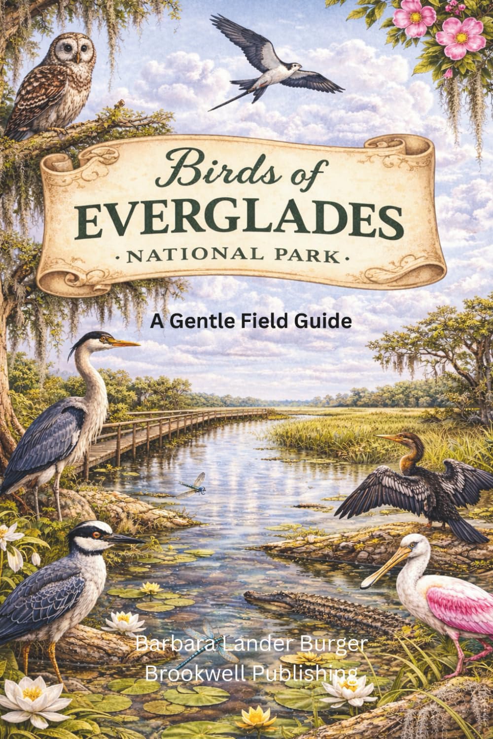 Birds of Everglades National Park