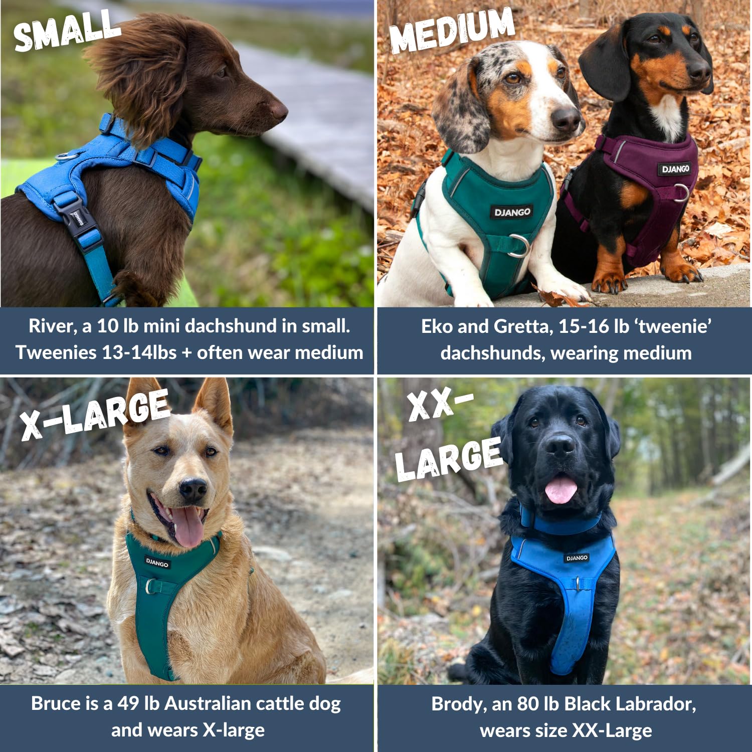 DJANGO Tahoe No Pull Hundegeschirr,Bequemes,Verstellbares und sicheres Design für den täglichen Gebrauch (Medium, Himbeerviolett)