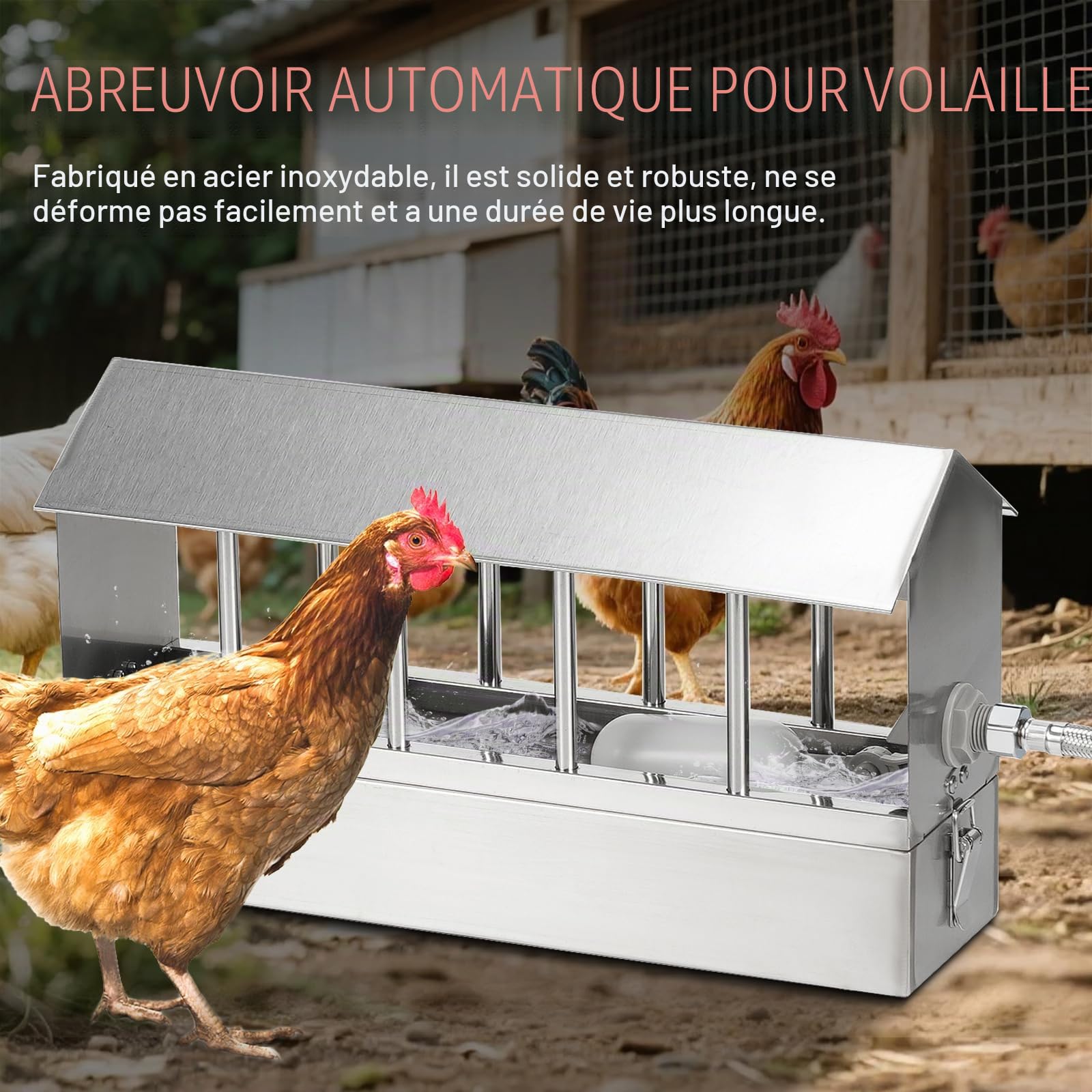 Abreuvoir Automatique pour Pigeon 2.6L Acier Inoxydable Volaille Automatique Abreuvoir Fontaine à Boire pour Pigeons avec Vanne à Flotteur de 1/2 Pouce et 80cm Tuyau Tressé