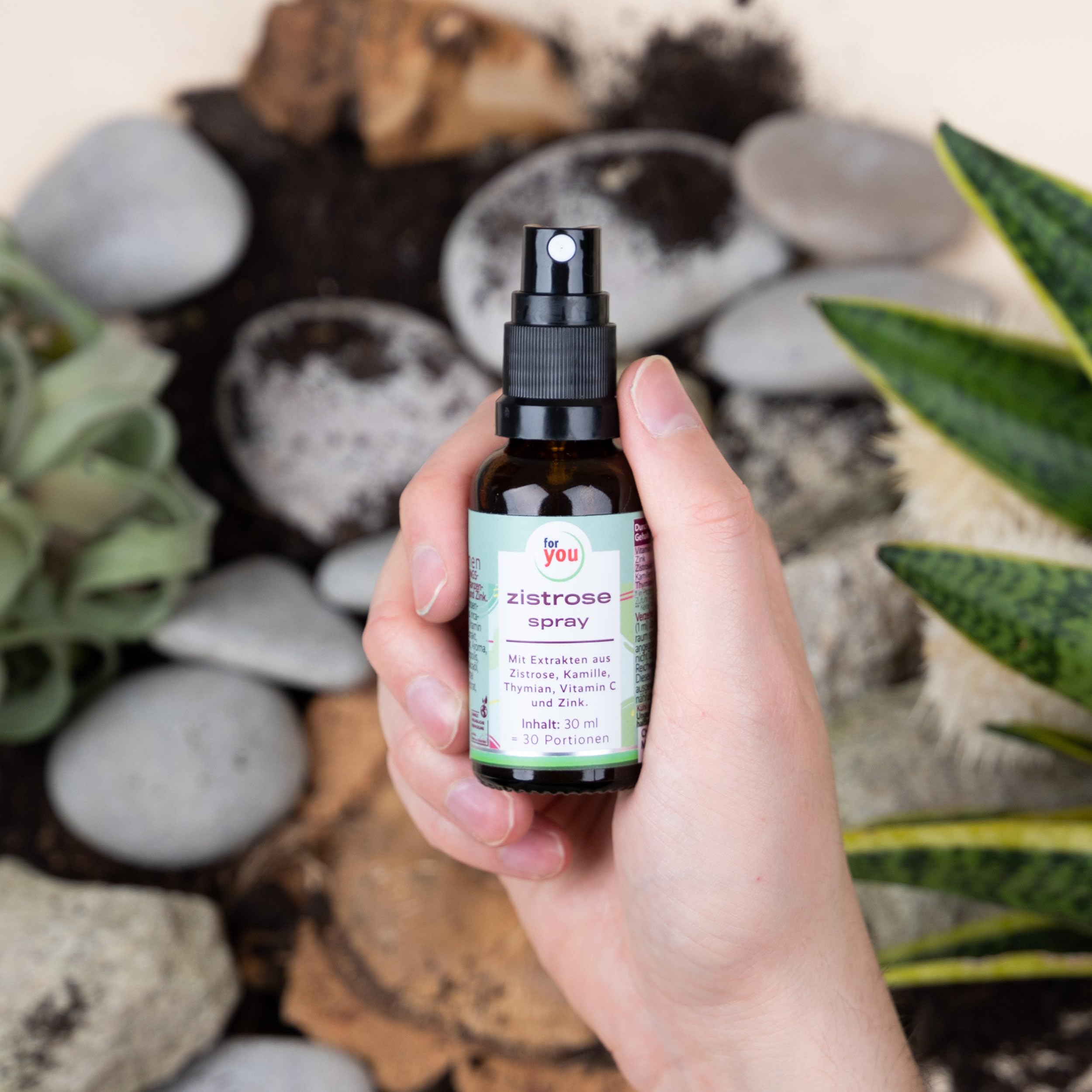 for you Zistrose Halsspray - 2x30 ml Doppelpack Rachenspray bei Akuten Beschwerden im Hals - mit Extrakten aus Zistrose, Kamille & Thymian, sowie Akazienhonig, Propolis, Manukahonig, Vitamin C & Zink