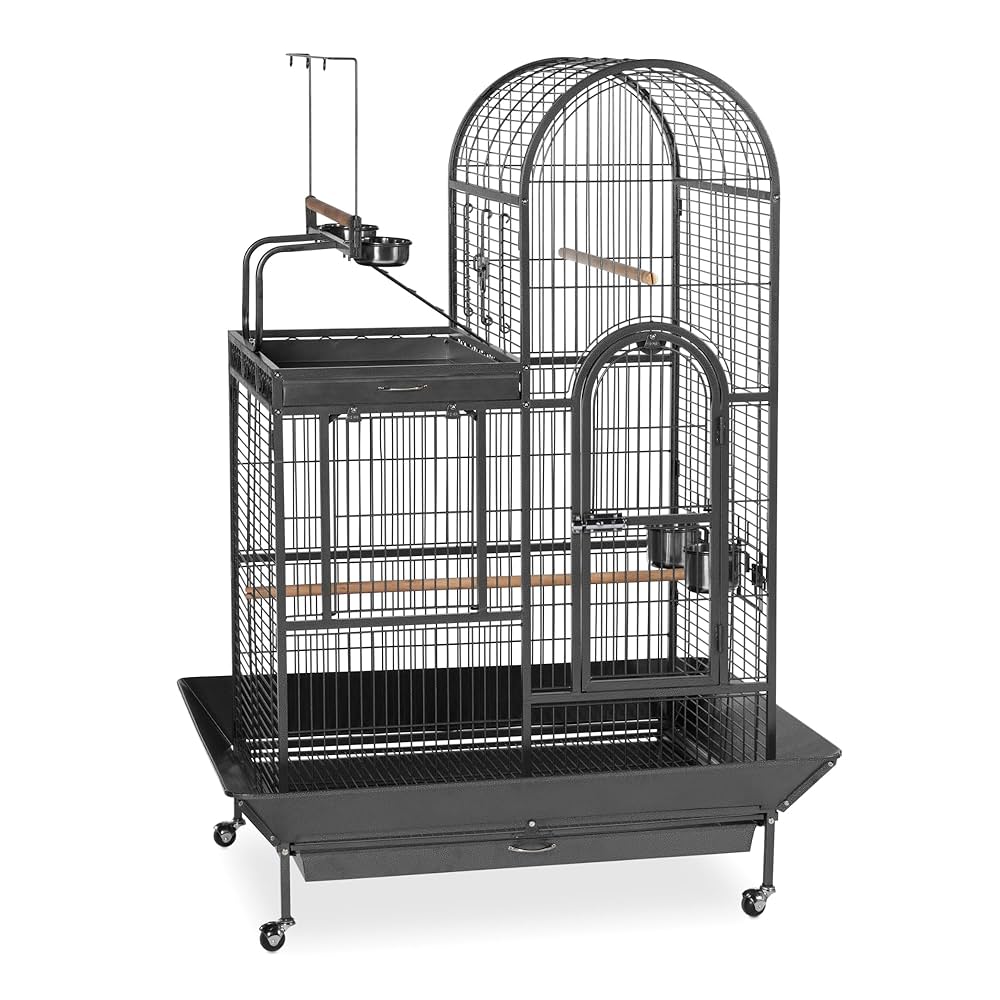 Amazon.com : Prevue Pet Products Double Roof Steel Bird Cage