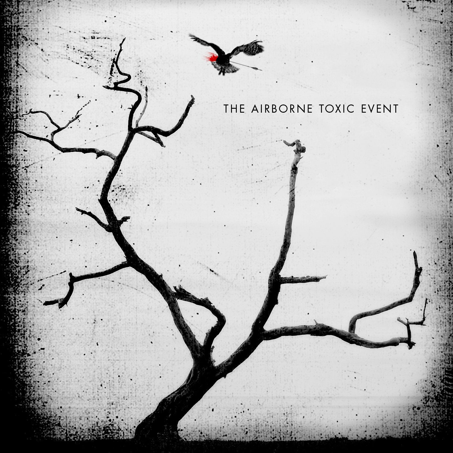 The Airborne Toxic Event [Audio CD] The Airborne Toxic Event and Pete Min
