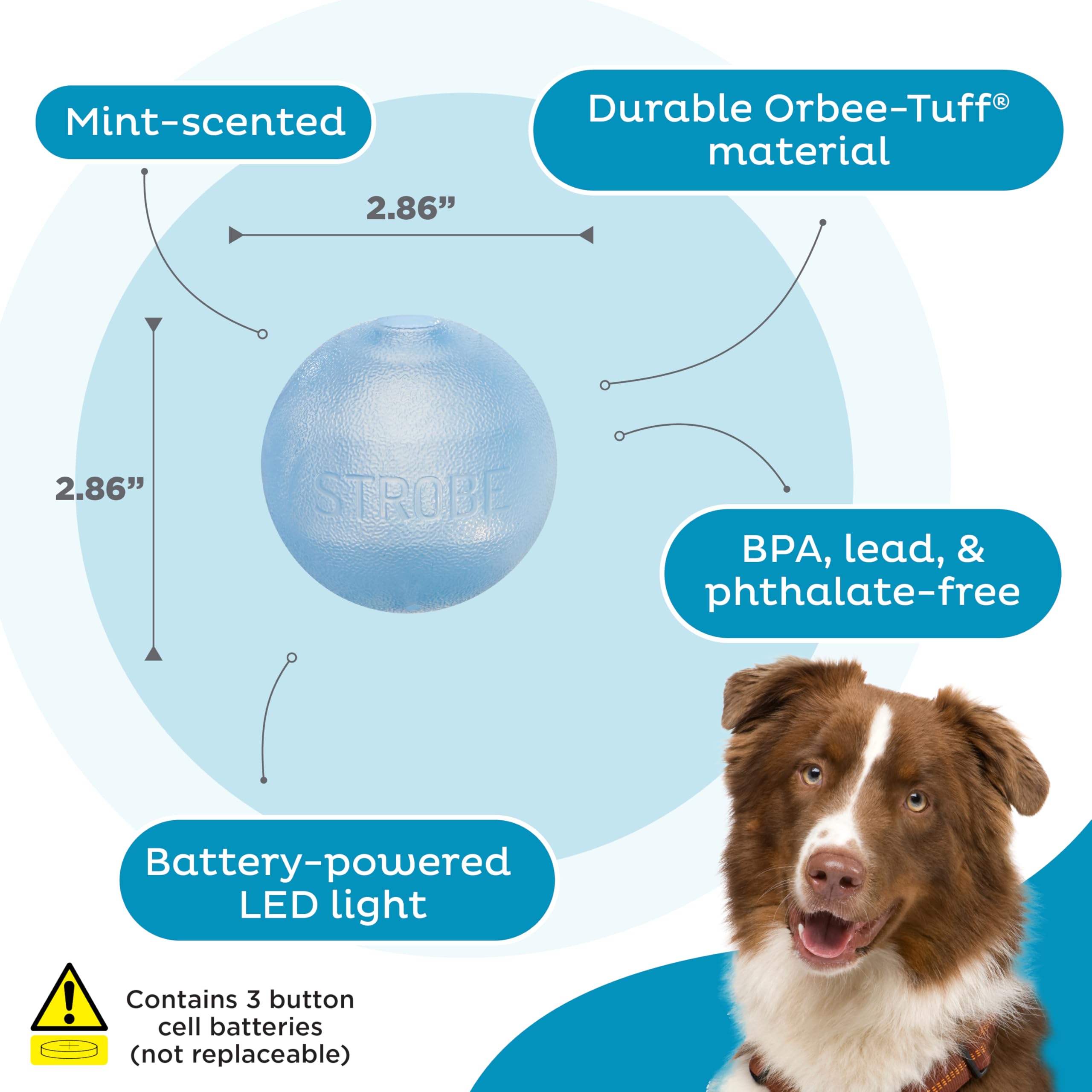 Planet Dog Balle pour chien Strobe - en Orbee-Tuff - éclairage LED - bleu