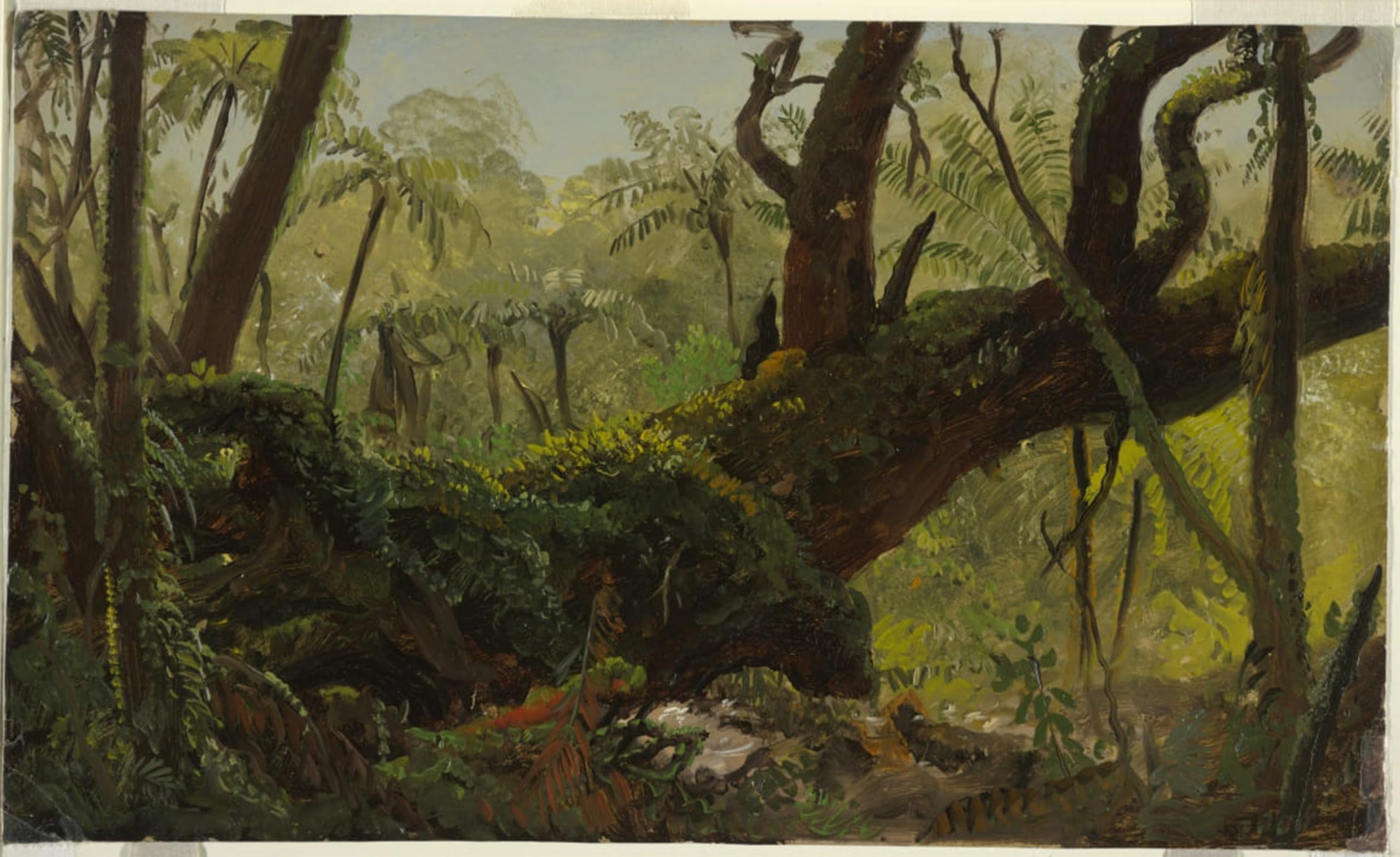 SERENDIPITP Retro Picture Poster Wall Art Pictures Painting Rain Forest Jamaica by Frederic Edwin Church Wall Art Canvas Print for Wall Decor 60x90cm