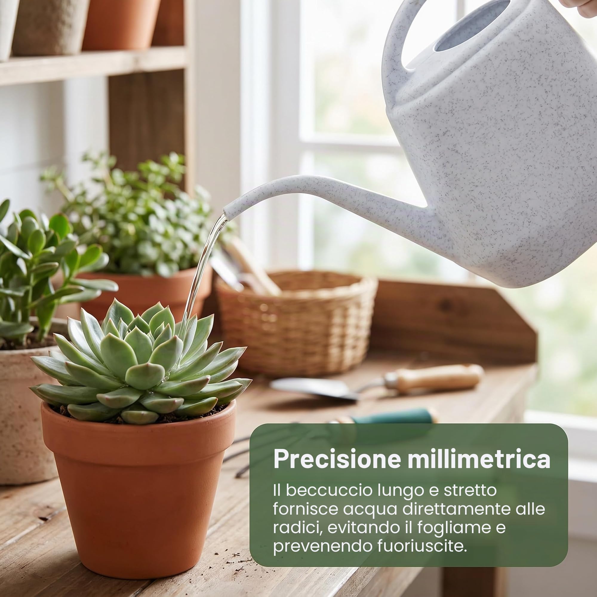Fasmov Annaffiatoio in plastica leggero da 4 litri per giardino casa fiori bonsai pianta (grigio)