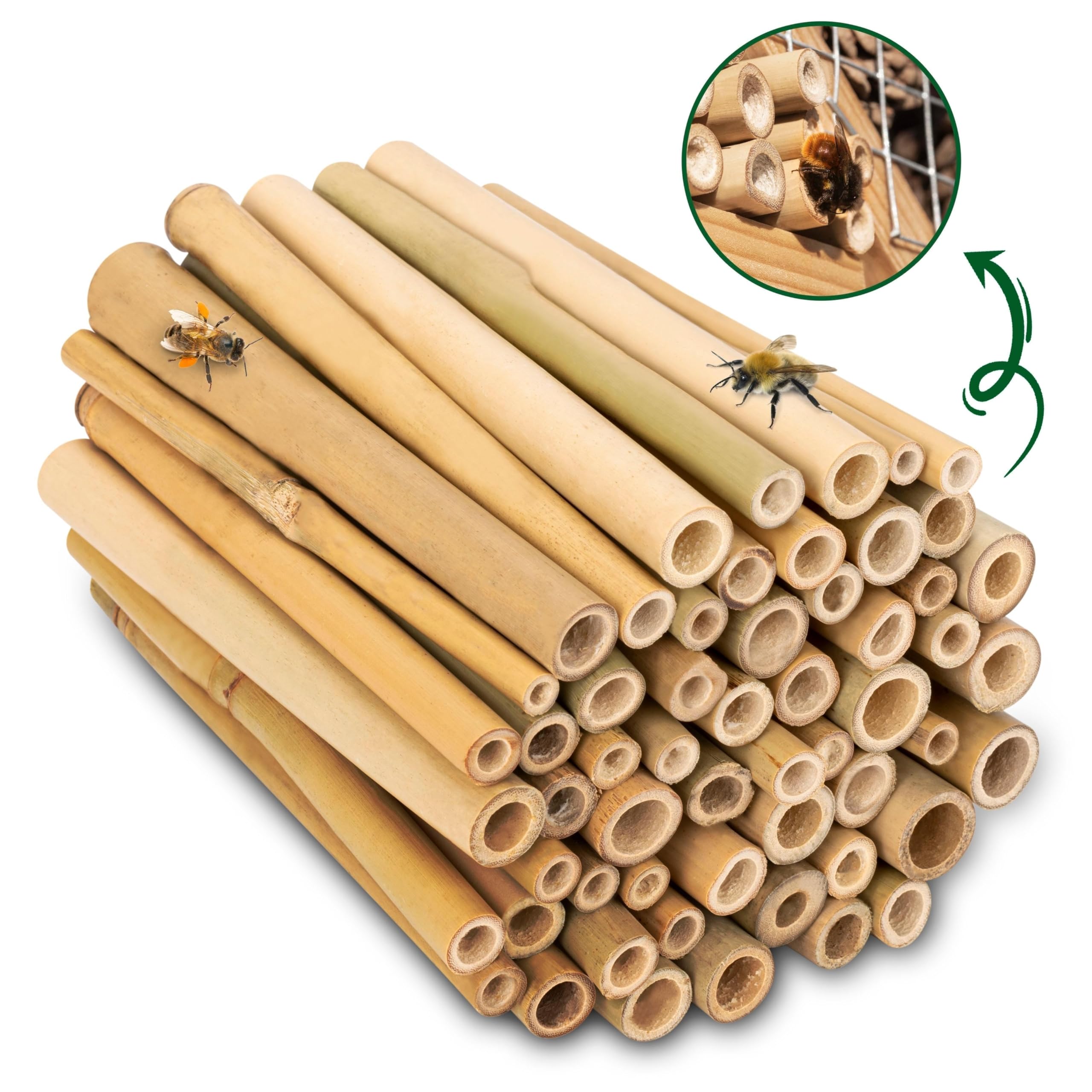 GARDIGO® Tubos de bambú para Hotel de Insectos, 150 Unidades, Tubos de anidación de bambú para Abejas Silvestres, Accesorios para casa de Insectos, Hotel de Abejas, casa de Abejas Silvestres, caña de