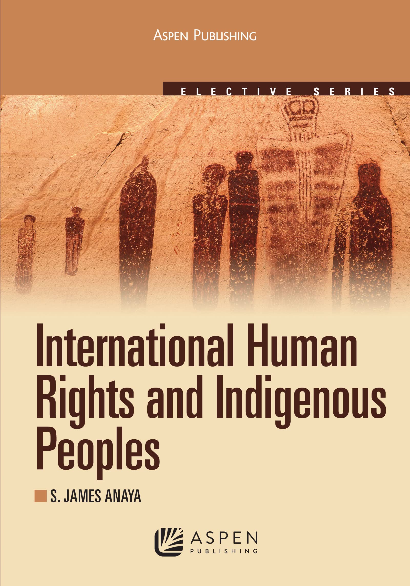 International Human Rights and Indigenous Peoples: 2010 (Aspen Elective Series)