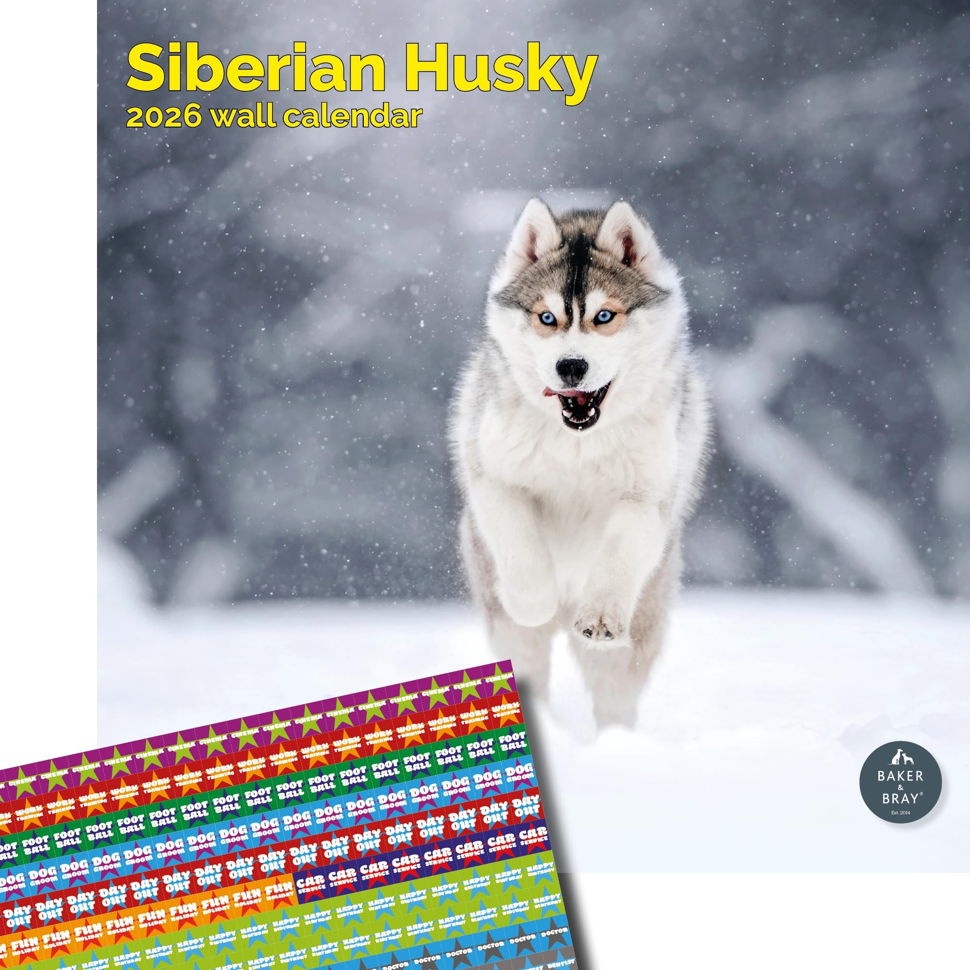 Baker and Bray Siberian Husky Calendar 2026, Large Square Wall Calendar With Organisational Stickers, 16 Month, Siberian Husky Gift Dog Calendar.