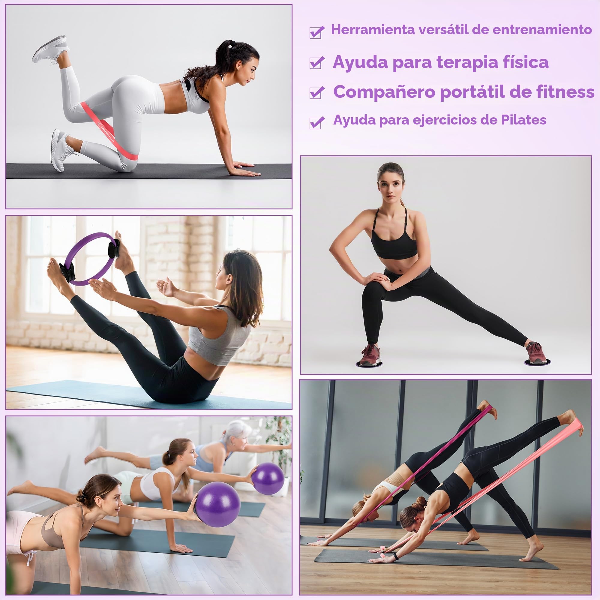 Goocrun Juego de anillos de pilates para ejercicios con bandas de resistencia de ejercicios, pelota de pilates, discos deslizantes, equipo de entrenamiento, gimnasio en casa, incluye póster de fitness