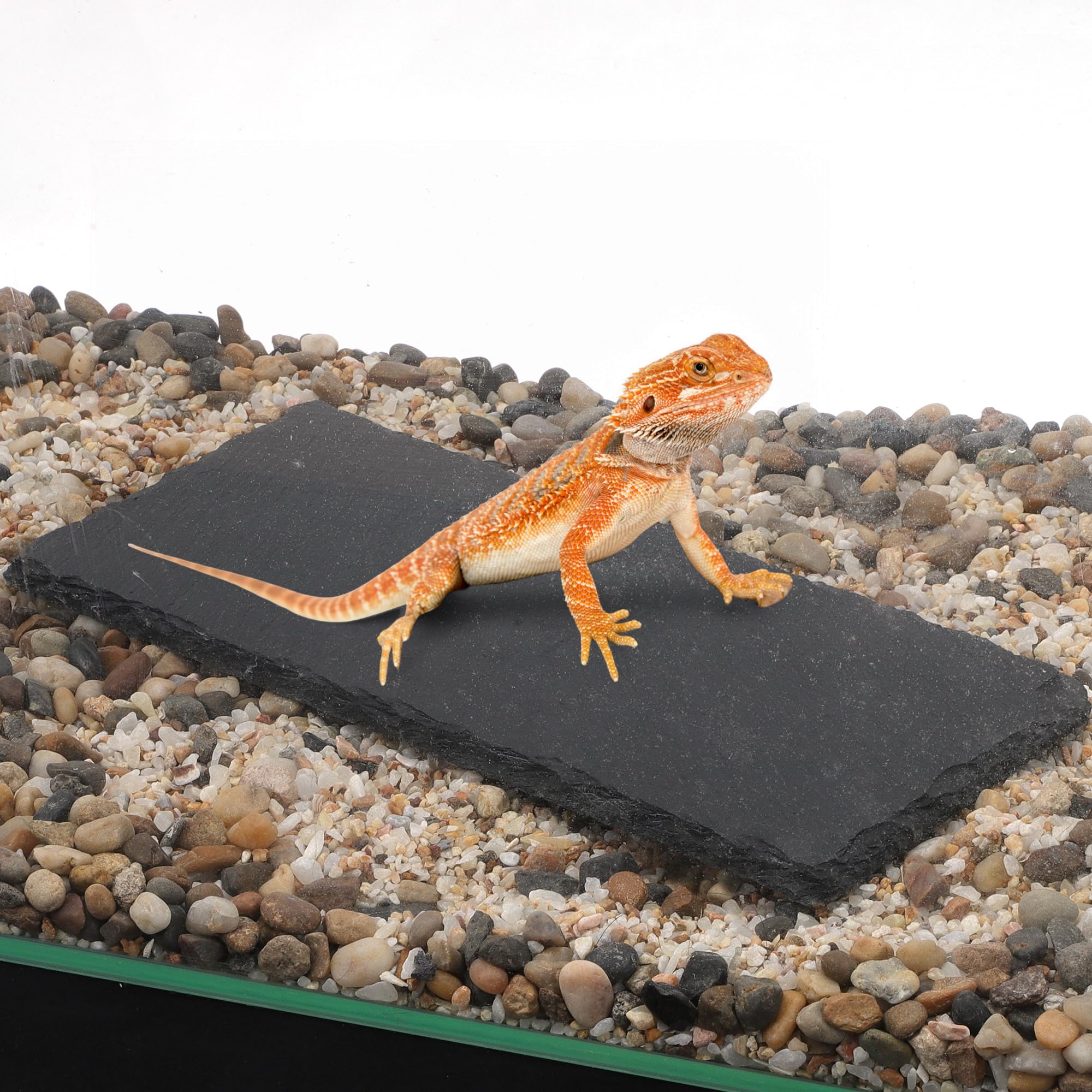 Piattaforma per rettili in ardesia, superficie crogiolante per rettili, migliora l'attività di arrampicata, 25 x 12 cm, nero grigio