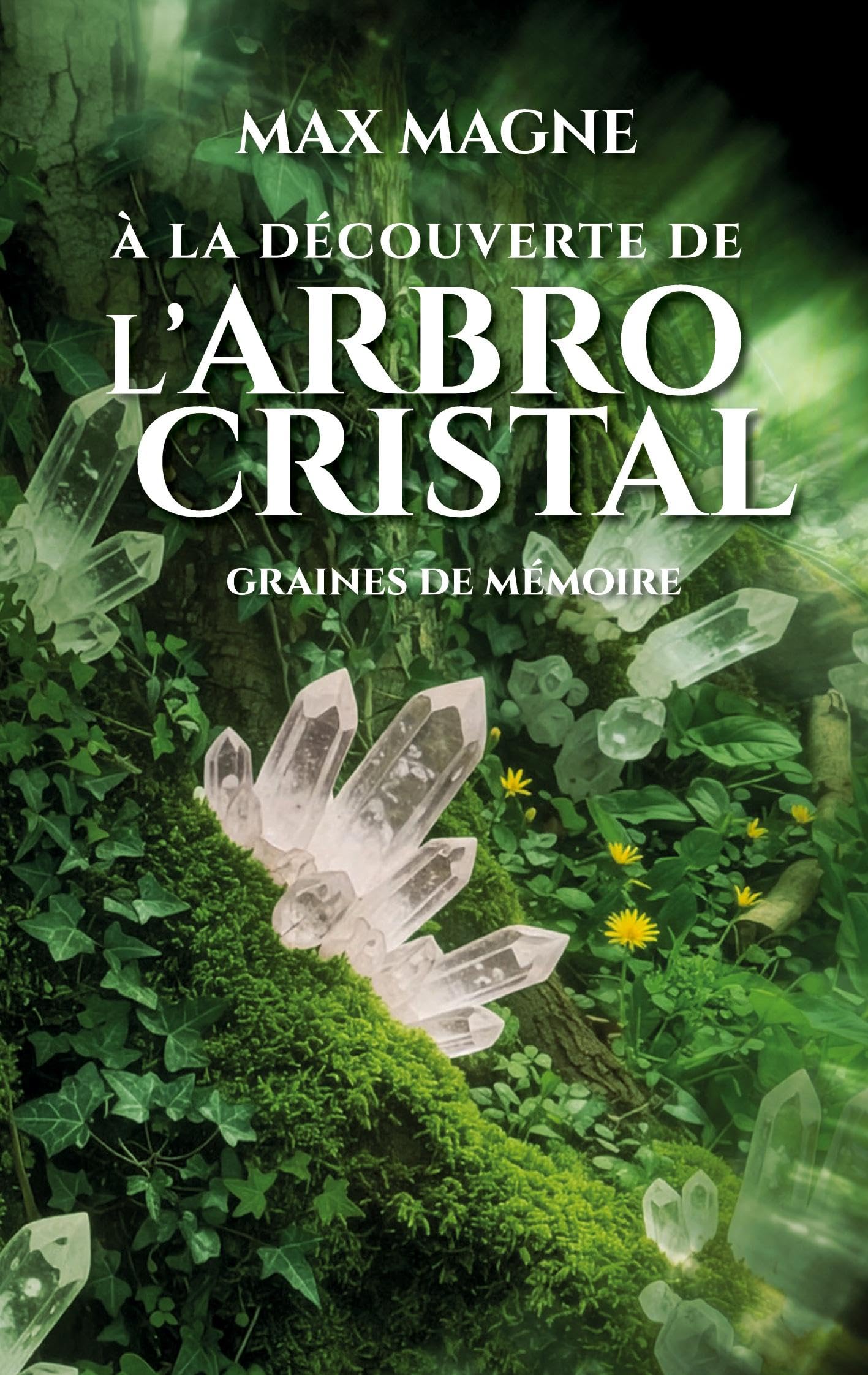 À la découverte de l'Arbrocristal: Graines de mémoire