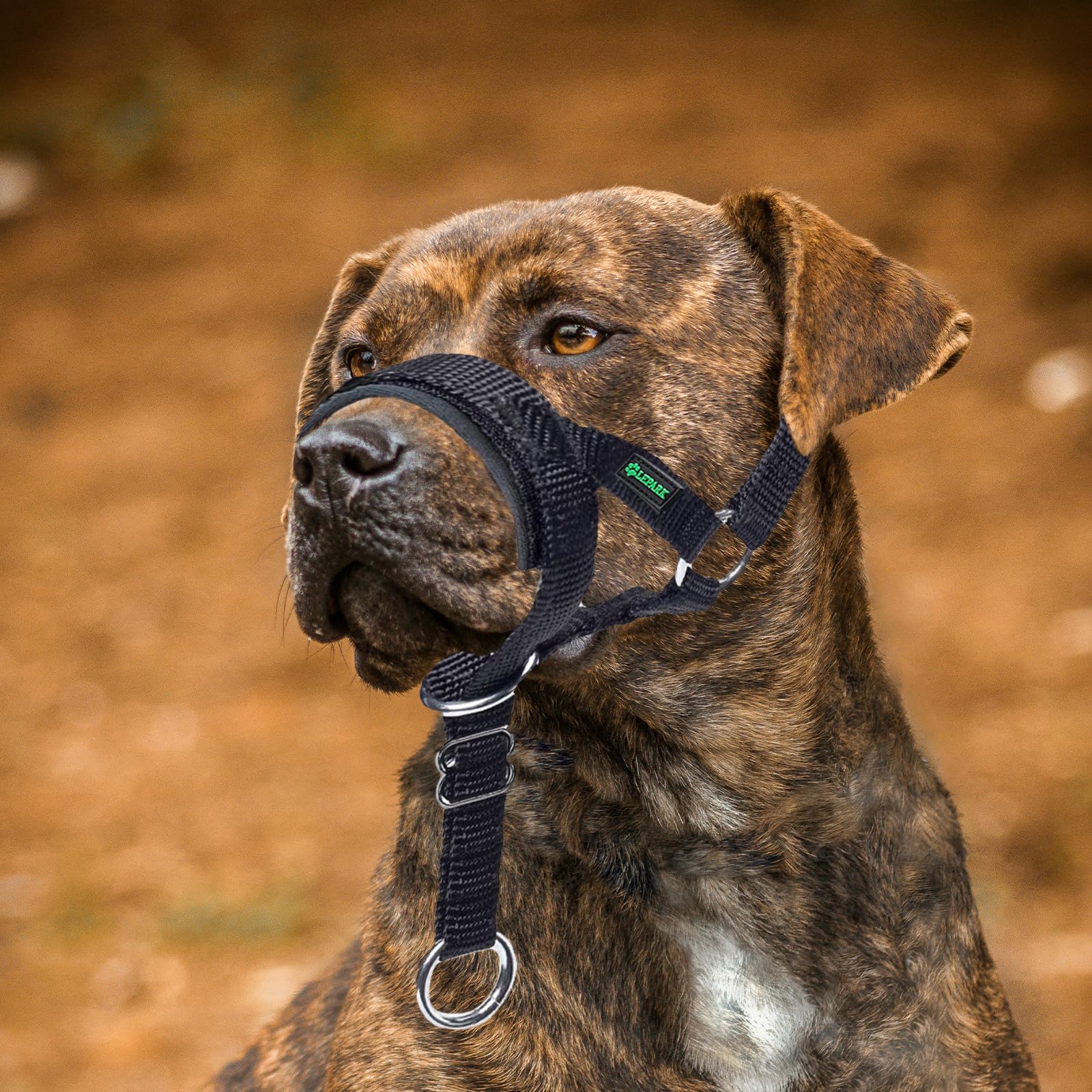 ILEPARK Collare per Cane Cone Cinturino di Sicurezza, Cavezza da Testa per Cane, Regolabile e Facilmente controllabile (L, Blu)