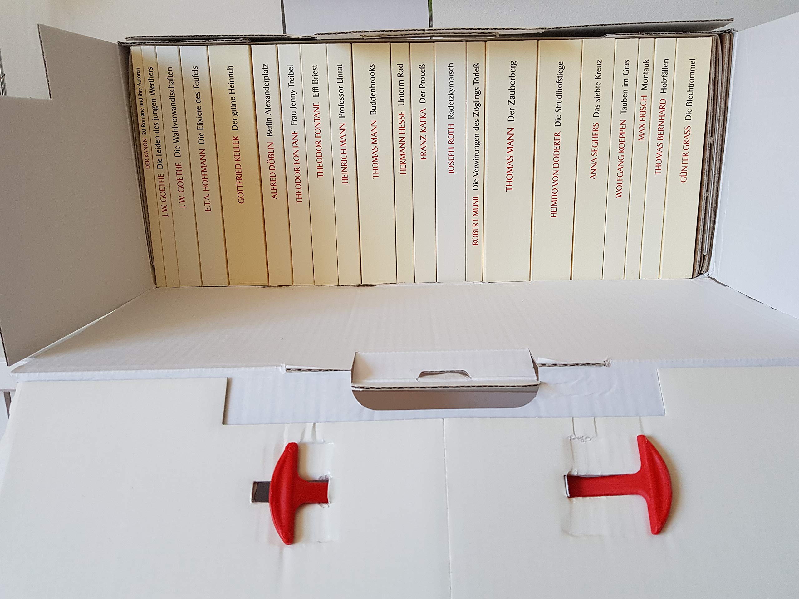 Der Kanon. Die deutsche Literatur. Romane: 20 Bände und ein Begleitband im Schuber (insel taschenbuch)