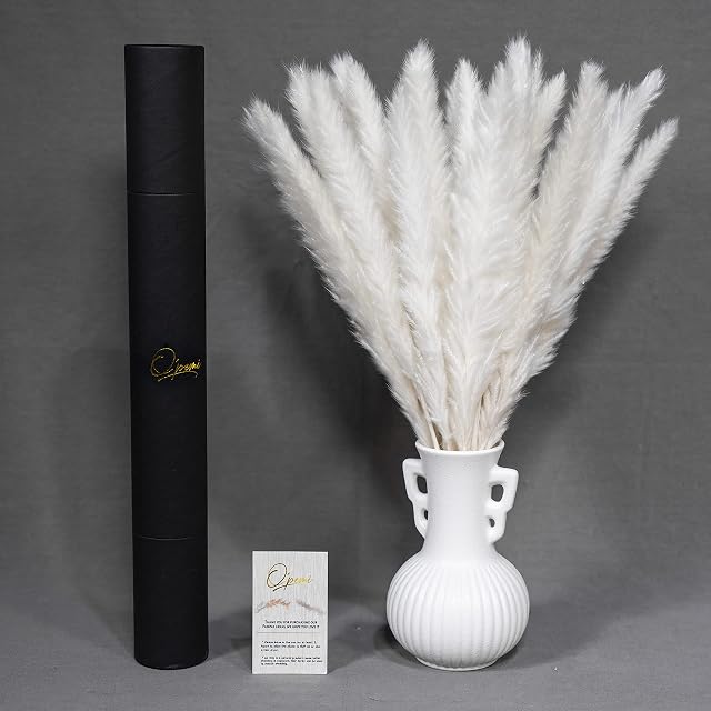 O'pemi White pampas grass, 45cm length, 30 stems home decor, dried natural grass,boho, flower arrangements, gift protective packaging