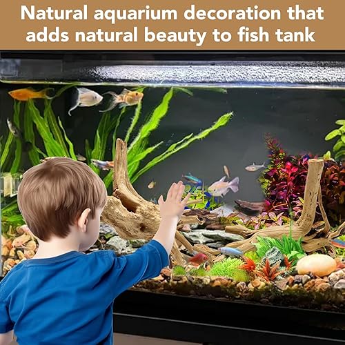 Vista 16 de Madera flotante de madera de araña grande natural para decoración de acuario Rptile pecera decoración Assort rama 7-11 pulgadas, 3 piezas