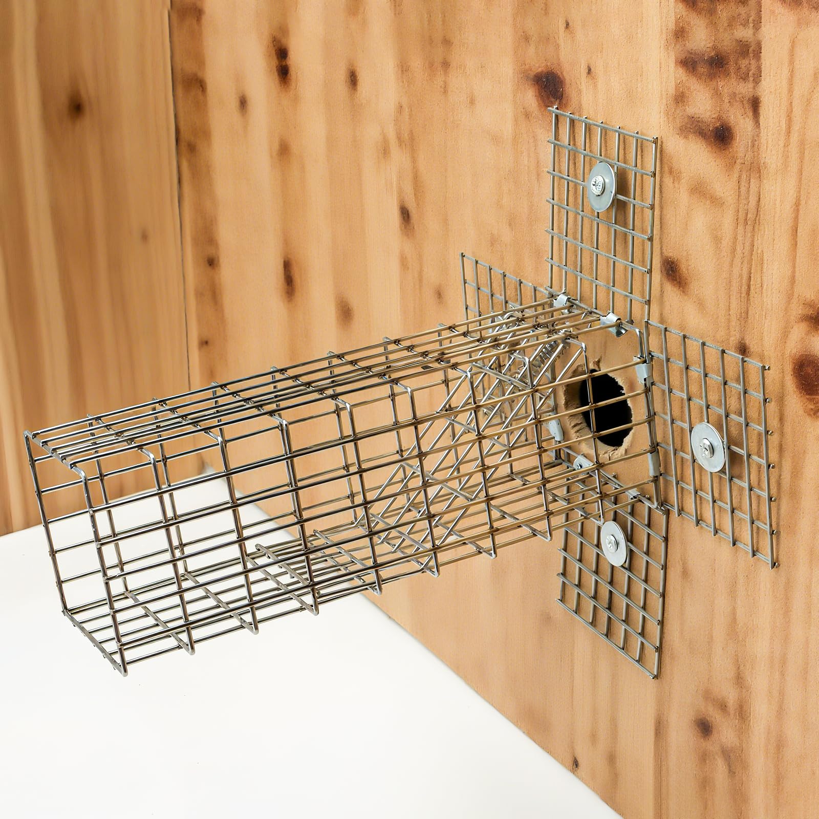 Lettry Lot de 2 boudins de porte unidirectionnels en forme d'écureuil, cage d'animaux, écureuils humains, tamias sans contact, pour espaces extérieurs comme greniers, cheminées – Comprend un kit