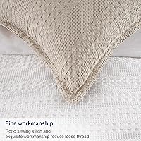 Vista 102 de PHF Fundas de almohada 100% algodón con tejido de gofre de 24 x 24 pulgadas, paquete de 2 fundas cuadradas para decoración elegante del hogar, sin