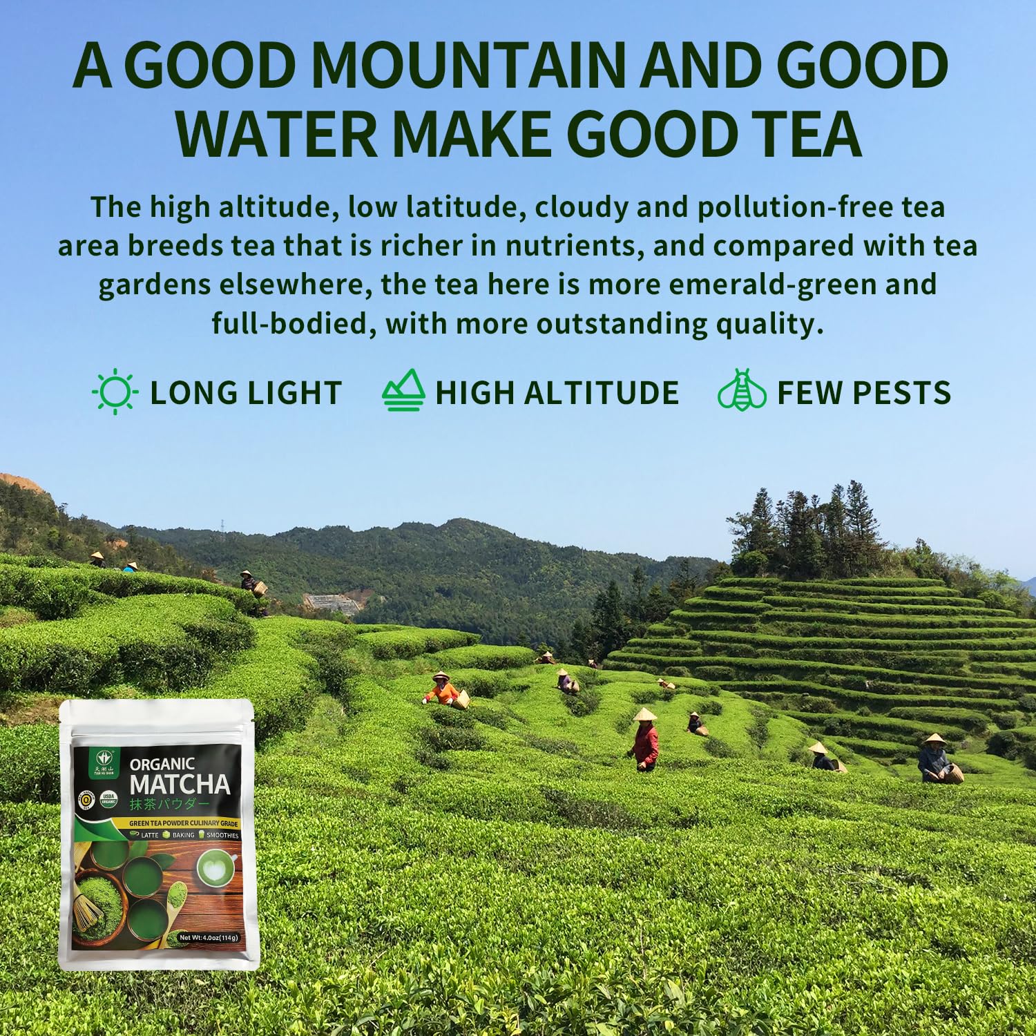 TIAN HU SHAN Organic Matcha Green Tea Powder 4 0oz 114g Matcha Culinary Grade For Lattes Cooking Baking — view 7