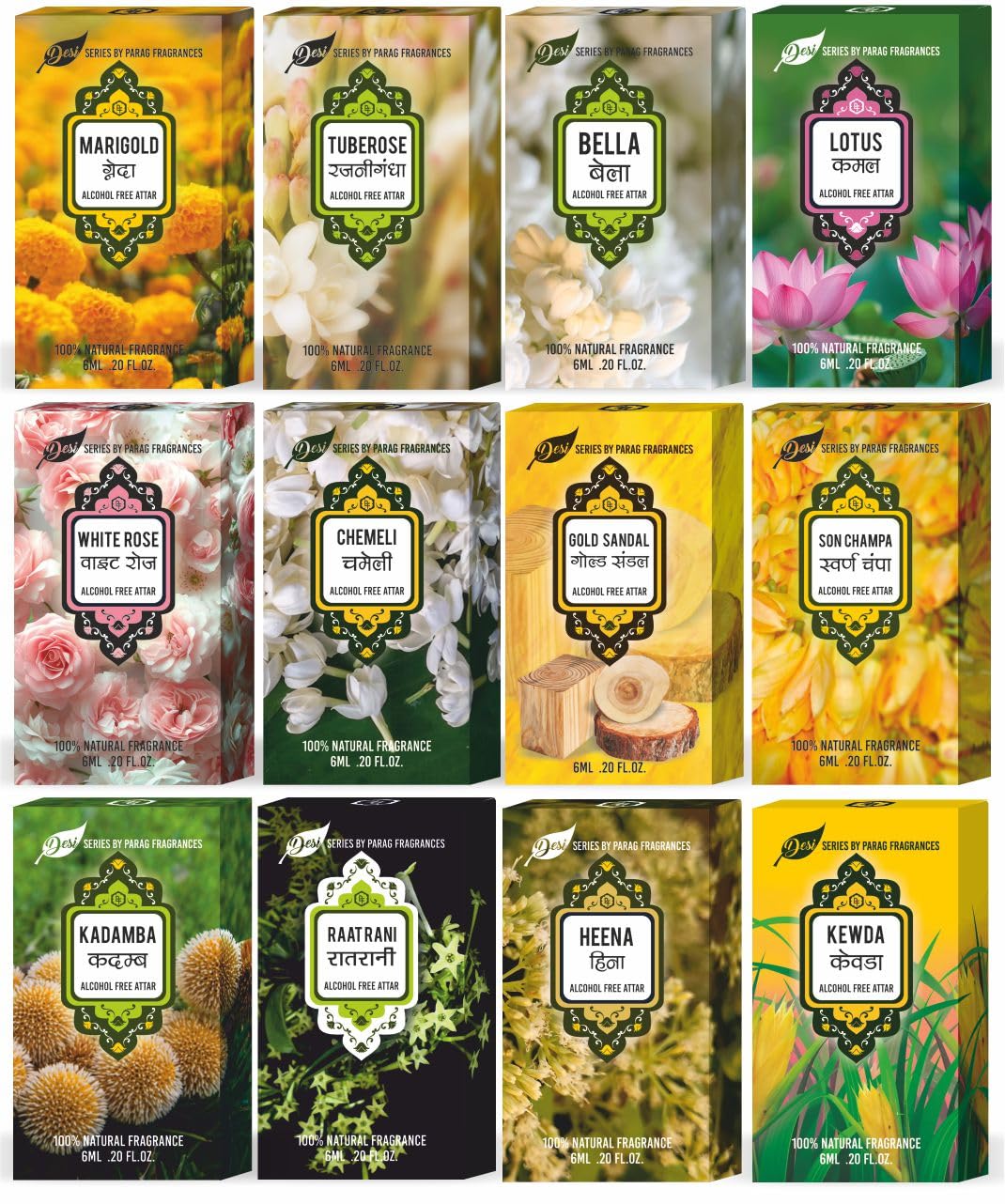 Parag Fragrances Desi Series Attars (12pc of 6ml / Wholesale Pack, Gold Sandal, White Rose, Chemeli, Bella, Kamal, Swarna Champa, Kewda, Rajnigandha, Raatrani, Kadamb, Heena, Genda)