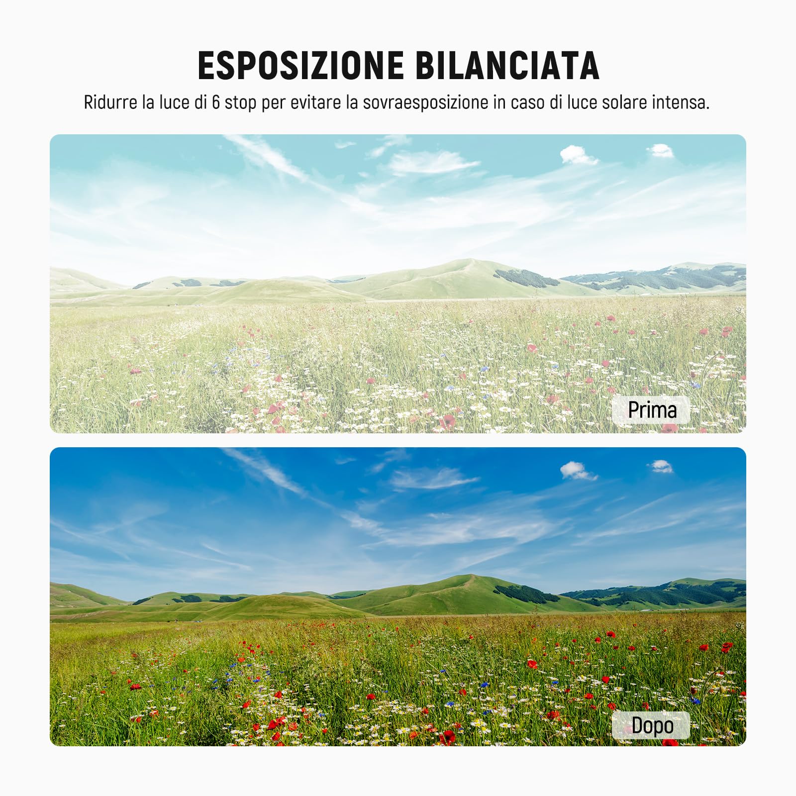 NEEWER Filtro ND Compatibile con Insta360 X5, Set Filtri ND64 per Lenti, Riduzione Luce di 6 Stop, Densità Neutra in Vetro Ottico Multistrato a Vite Rilevamento Automatico, Accessori Action Cam, 2pz