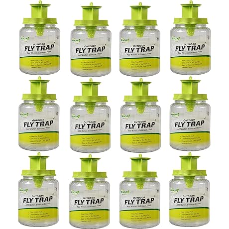 Reusable Outdoor Fly Trap - Protection for Your Home and Environment