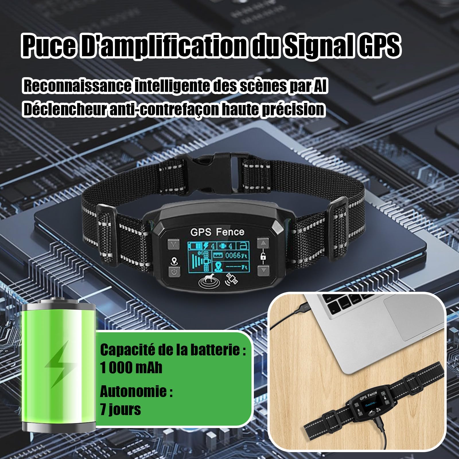Billg Collier de Dressage pour Chien, Résistant à L’Eau Collier de Dressage sans Fil GPS, 3 Modes Clôture Anti-Fugue pour Grands Espaces Ouverts, Portée de 30 à 2000m, 9 Niveaux de Sensibilité
