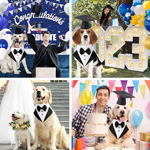 Miniatura 7 de Gorras de graduación para mascotas, juego de collar y sombrero de graduación, accesorio de disfraz de cachorro para perros, gatos, ropa de corbatín