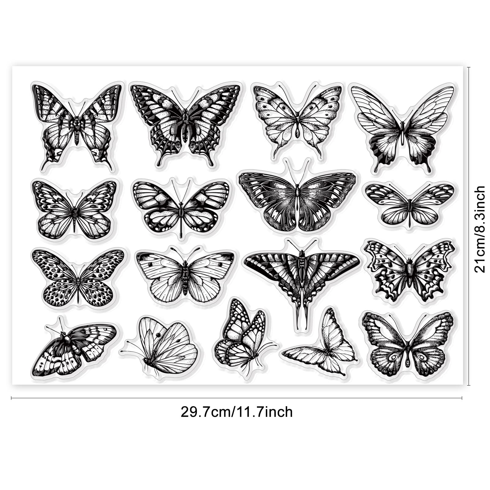 GLOBLELAND Tibri Trasparenti Tibro In Silicone Con Cornice Per Foto