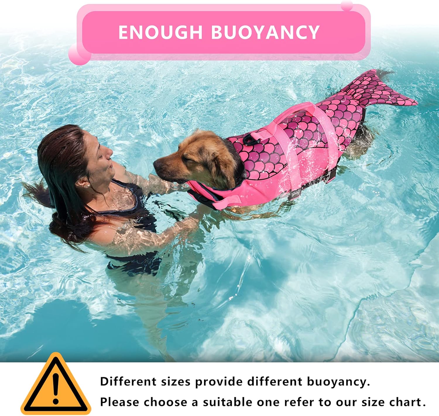 dog swimsuits cheap