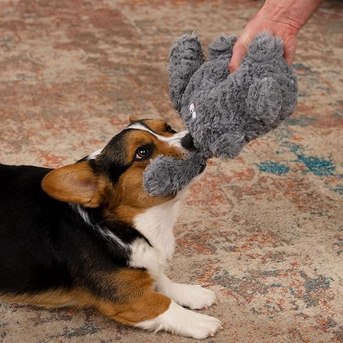 Vista 197 de goDog Checkers Just for Me - Juguete chirriante afelpado para perro, con tecnología Chew Guard, diseño de cerdo volador, color rosa, tamaño miniatura