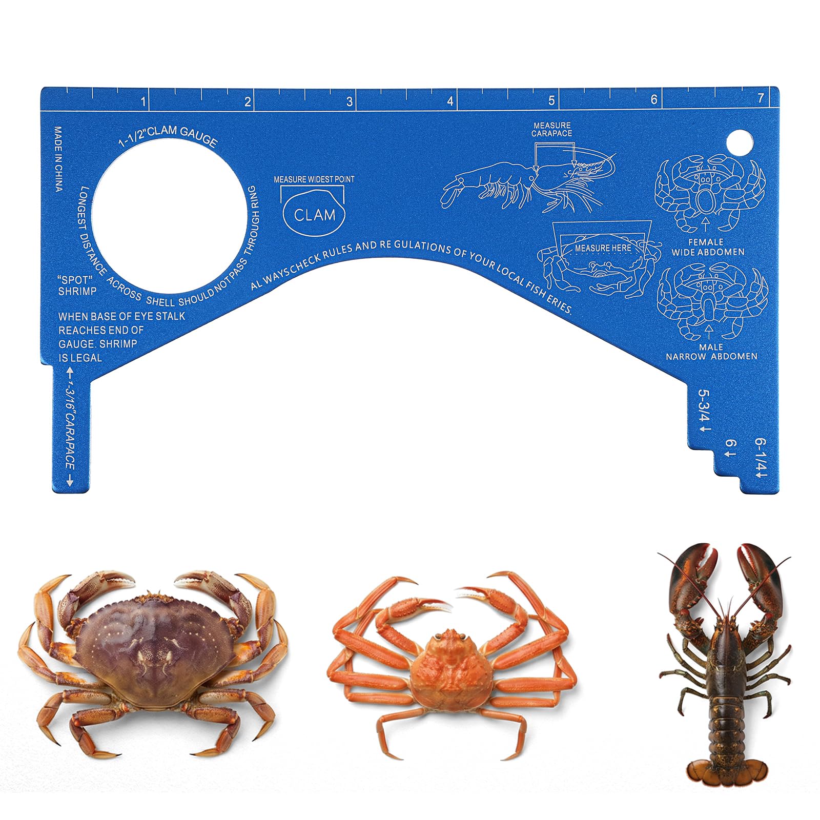 Sorcristy Crab Gauge Blue Crab Measuring Tool
