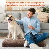 Ver la foto 6