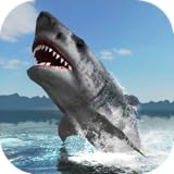 Great White Shark Survival