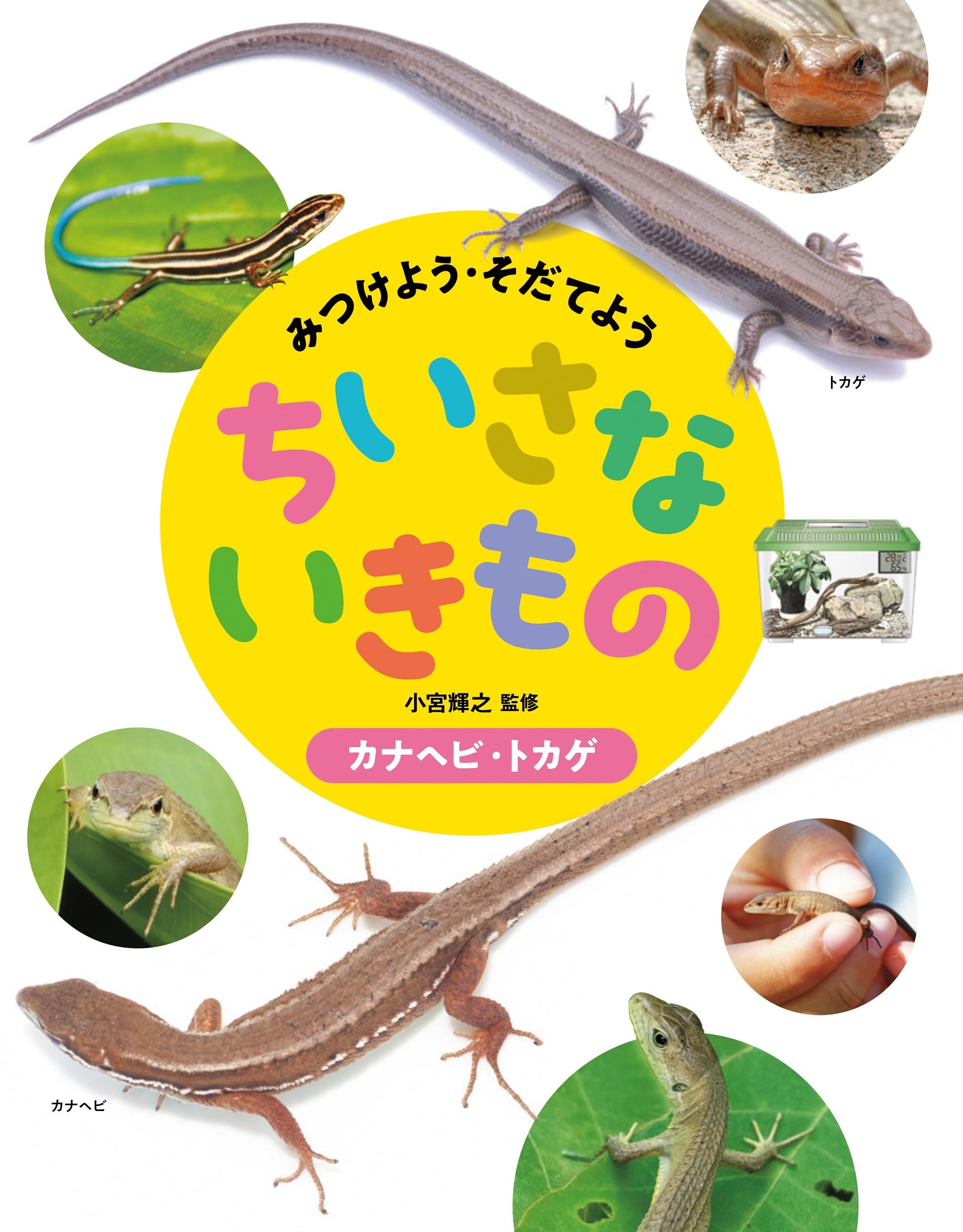 カナヘビ・トカゲ (みつけよう・そだてよう ちいさないきもの) | 小宮