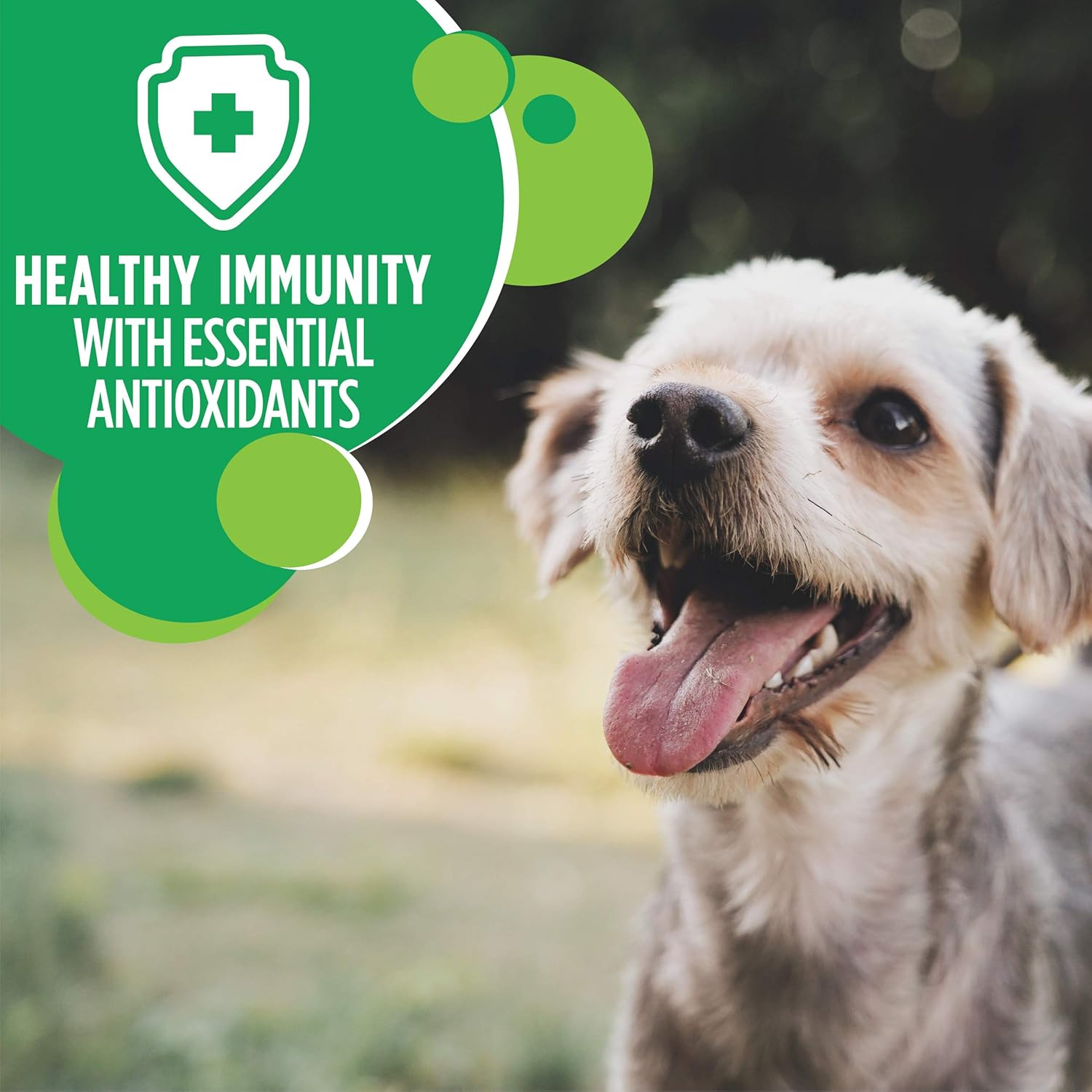 IAMS Small & Toy Breed Adult Dry Dog Food for Small Dogs with Real Chicken, 7 lb. Bag : Pet Supplies