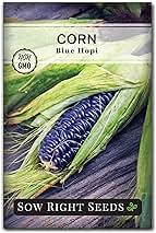 Sow Right Seeds - Blue Hopi Corn Seed for Planting - Non-GMO Heirloom Packet with Instructions to Plant and Grow an Outdoor Home Vegetable Garden - Great for Blue Corn Flour Cooking (1)