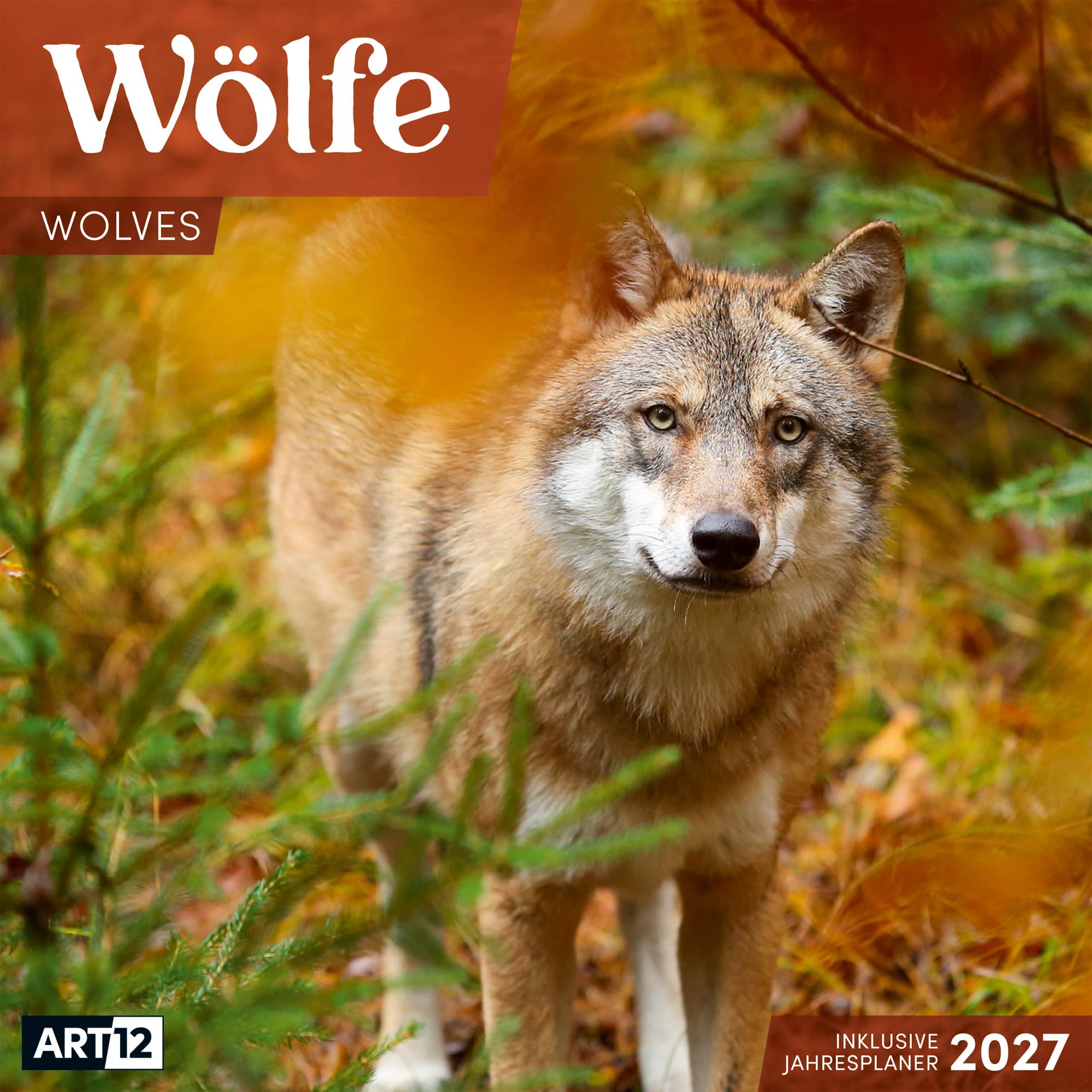 Wölfe Kalender 2027 - 30x30 - Art12: Bildstarker Tier-Kalender im schlanken Hochformat (aufgeklappt 30x60 cm) | mit Eintrage-Kalendarium