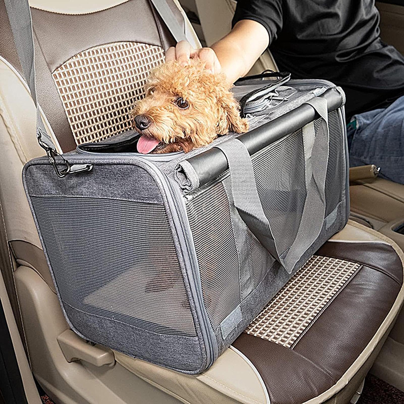 Transporttasche für Katzen Atmungsaktive, tragbare Tasche für Reisen (bis 9 | Transportbox für Katzen für Tierarzt, Flugzeug, Auto, Camping, Outdoor, Abenteuer, Motorrad