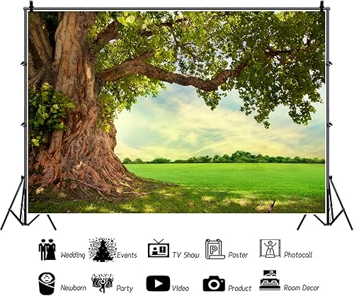 Miniatura 3 de CSFOTO Fondo de poliéster de 7 x 5 pies, paisaje rural, campo, primavera, verano, campo, pícnic, al aire libre, telón de fondo de naturaleza para