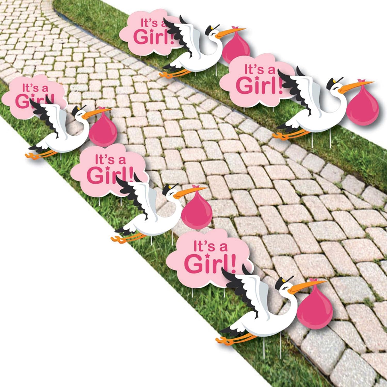 Big Dot of Happiness Girl Special Delivery - Baby Announcement Lawn Decorations - Outdoor Pink It's A Girl Stork Baby Shower Yard Decorations - 10 Piece