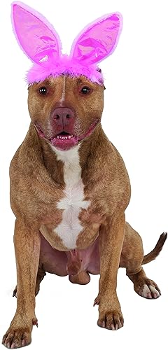 Vista 4 de Orejas de conejo para tu mascota Rubies Costume Company., M / L, Blanco Blanco Rosa