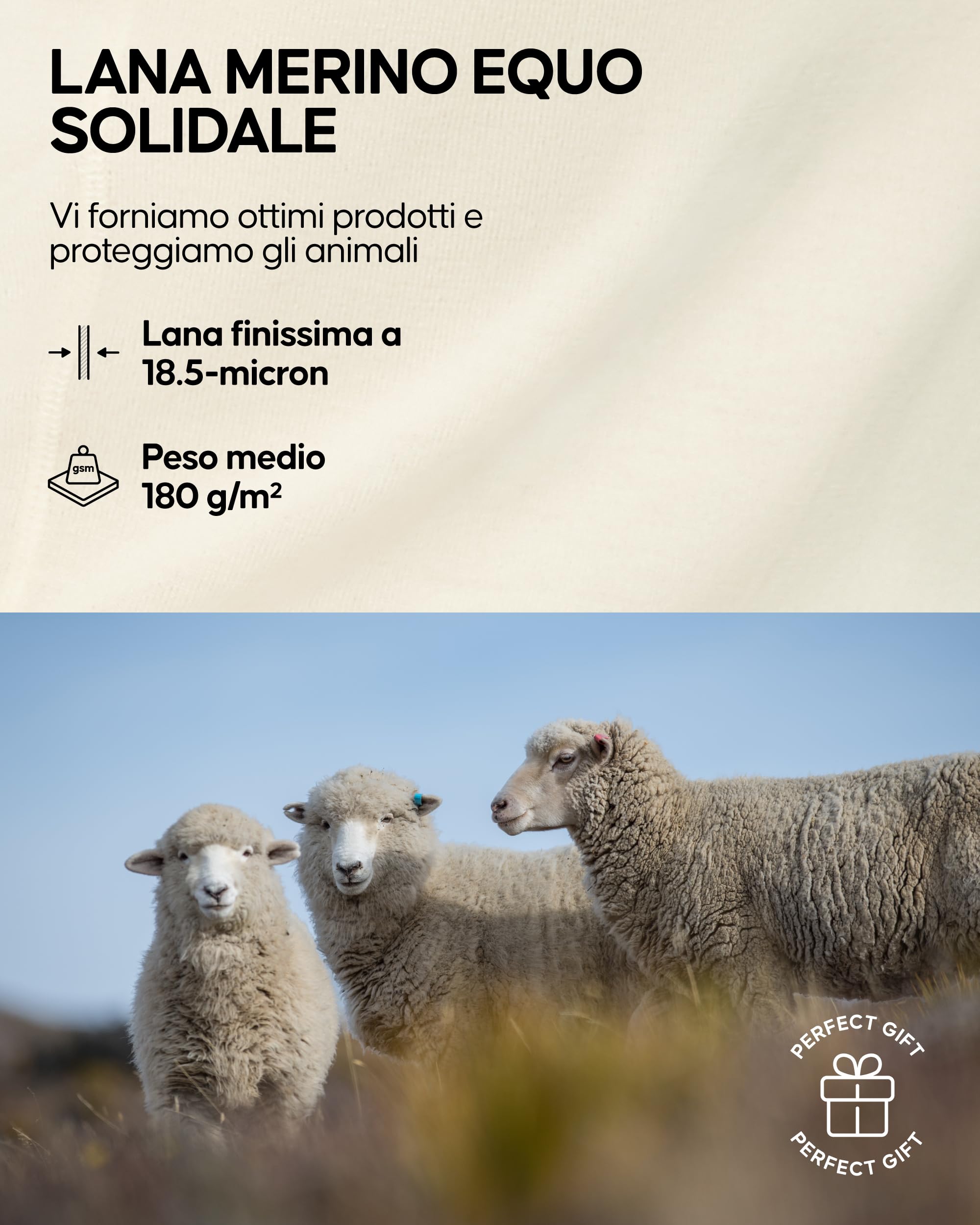 DANISH ENDURANCE Leggings Donna in Lana Merino, Pantaloni Termici, Pantacollant Invernali da Sci