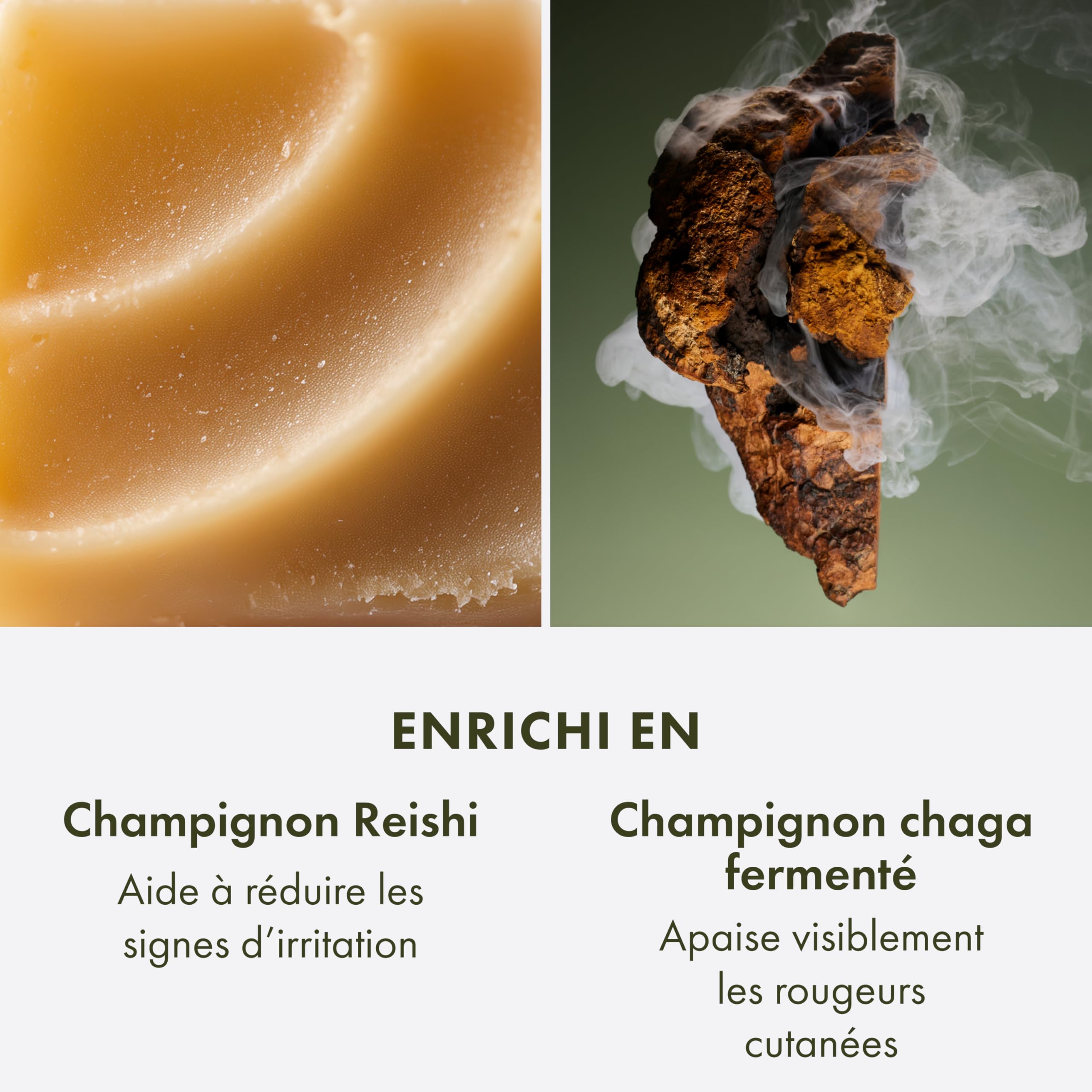 Origins Mega-Mushroom crème de nuit régénérante, Pour une hydratation nocturne en profondeur et une réduction des rougeurs visibles, Contient du champignon Reishi, 50 ml