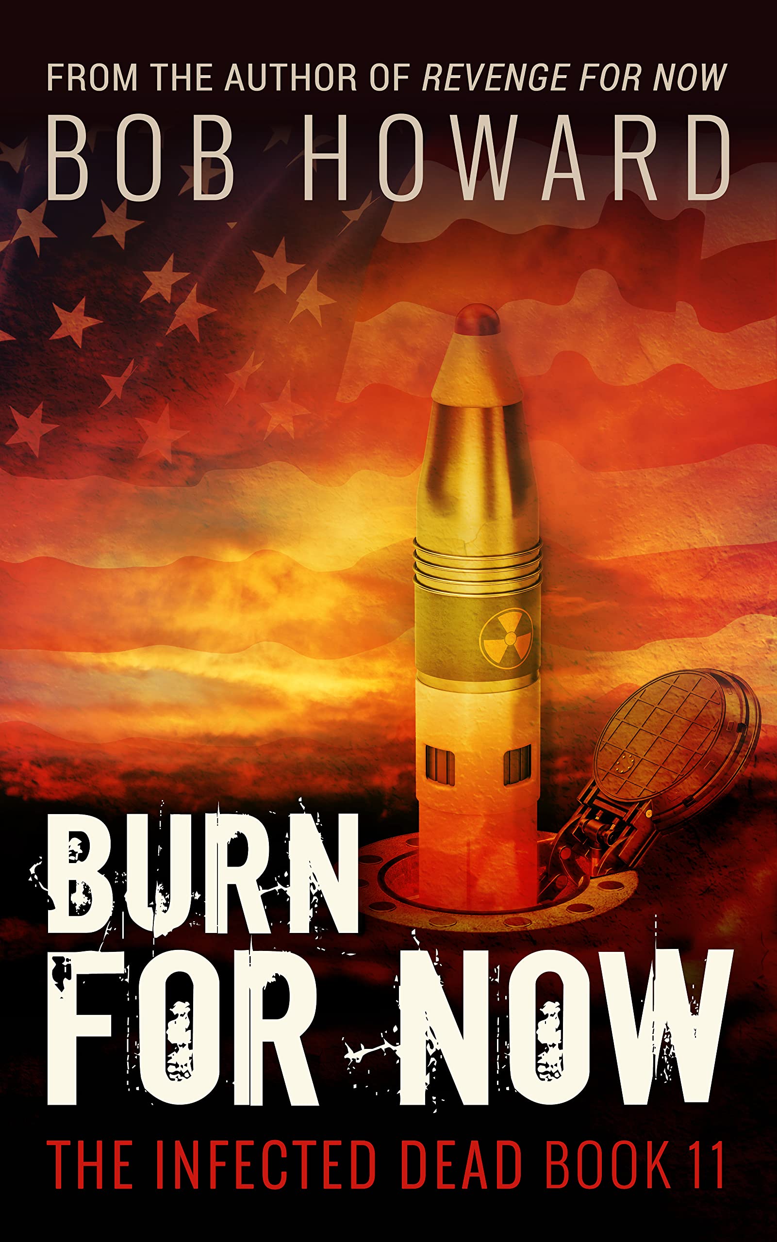 Burn for Now (The Infected Dead Book 11)