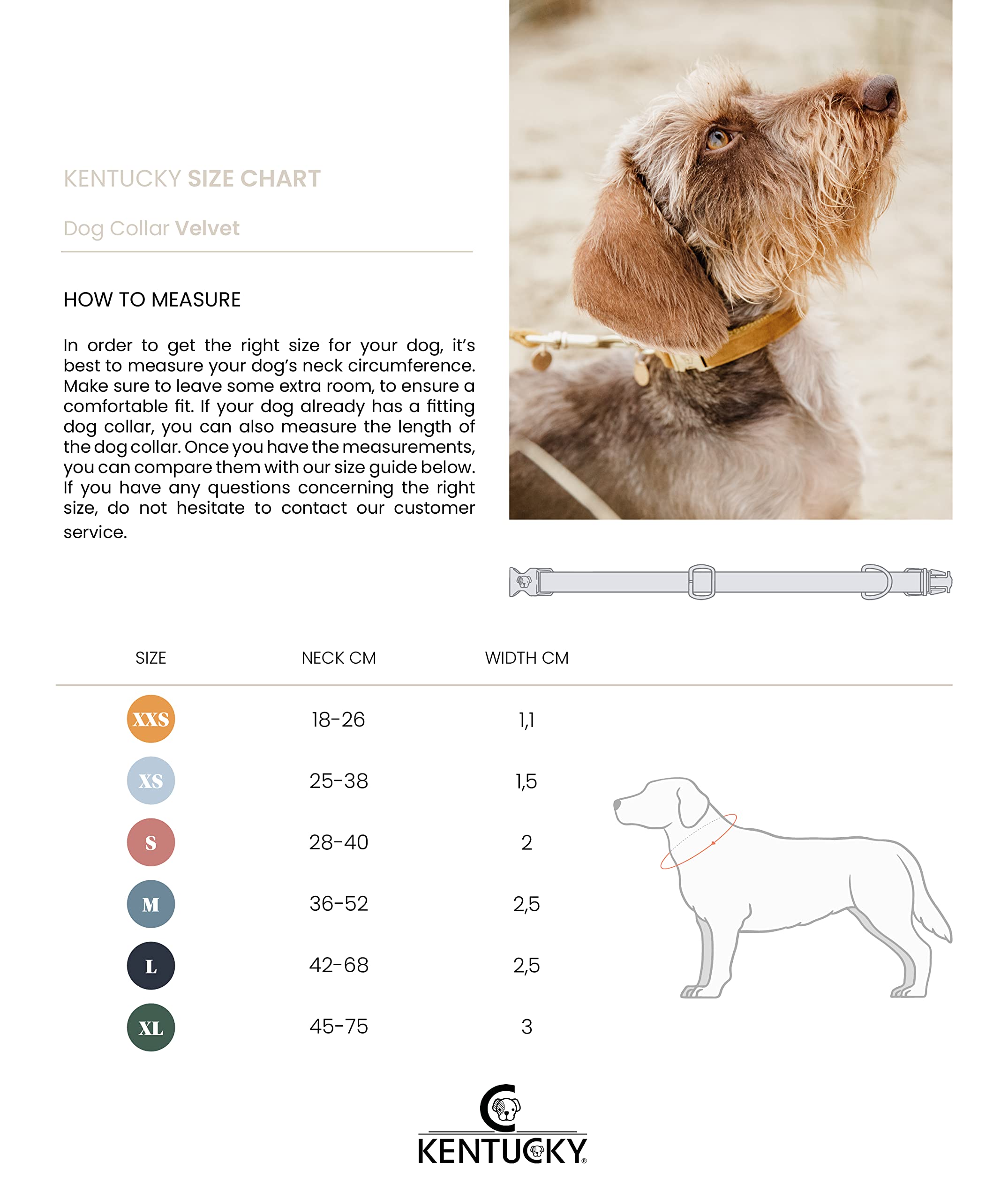 Kentucky Dogwear - Samt Hundehalsband - Orange S - 28-40cm