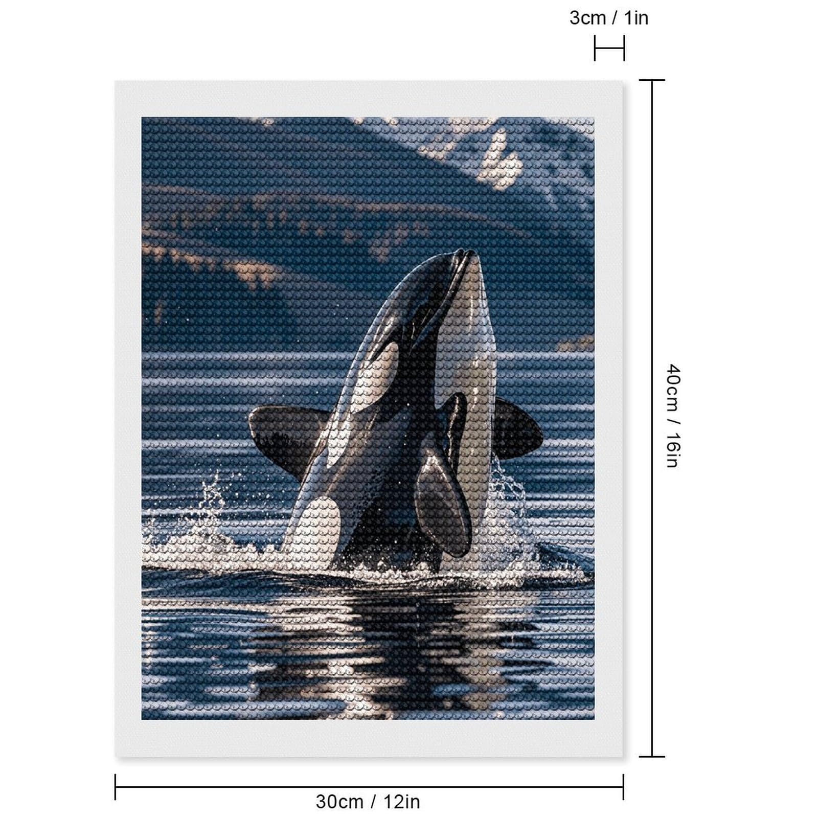 Amazon.com: QWJKM Orca Killer WhaleDiamond Art Painting Kits for